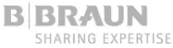 BraunLogo
